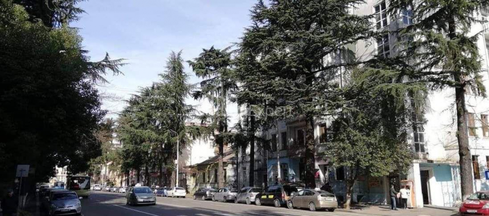 Mieszkanie 61 m² - Nikołoz Barataszwili, Batumi, Gruzja