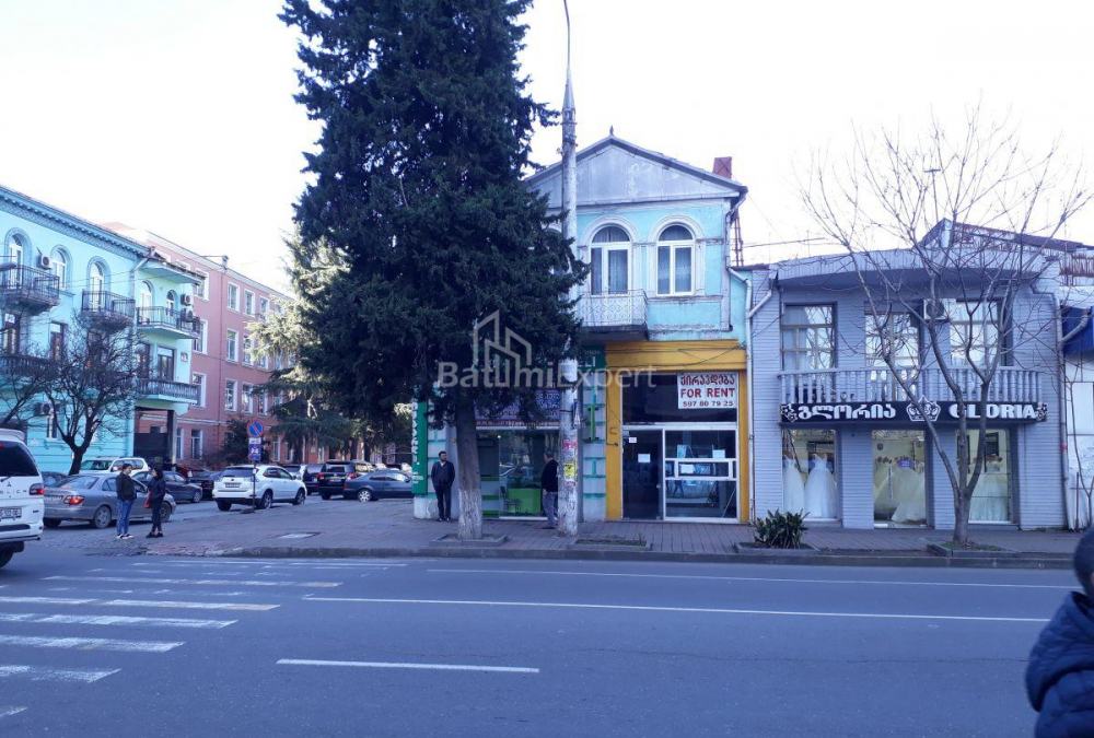 Mieszkanie 240 m² - Ilja Czawczawadze, Batumi, Gruzja
