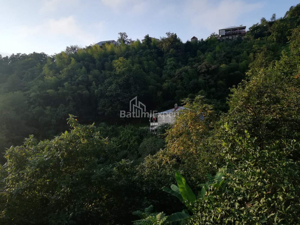 Dom prywatny 2501 m² - Akaki Shainidze, Khelvachauri, Gruzja
