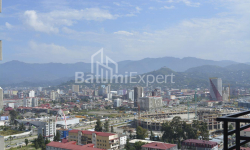 Mieszkanie 31 m² - Niko Pirosmaniego, Batumi, Gruzja