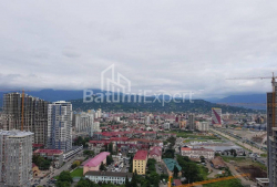 Mieszkanie 2-комн 45 m² - Zuraba Gorgiladze, Batumi