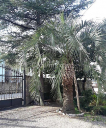 Mieszkanie 52 m² - Juriewskaja, Batumi, Gruzja