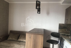 Mieszkanie 42 m² - Niko Pirosmaniego, Batumi, Gruzja