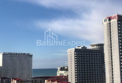 Mieszkanie 3-комн 53 m² - Niko Pirosmaniego, Batumi