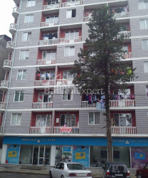 Mieszkanie 3-комн 47 m² - Fridion Khalvashi, Batumi