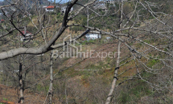 Mieszkanie 2-комн 170 m² - Juriewskaja, Batumi
