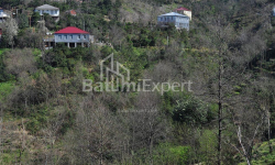 Mieszkanie 2-комн 170 m² - Juriewskaja, Batumi