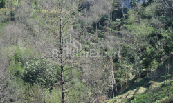 Mieszkanie 170 m² - Juriewskaja, Batumi, Gruzja