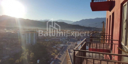 Mieszkanie 1-комн 28 m² - Petra Bagrationi, Batumi