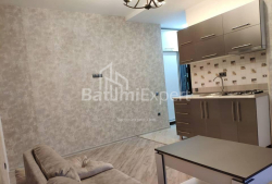 Mieszkanie 40 m² - Niko Pirosmaniego, Batumi, Gruzja