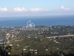 Dom prywatny 5000 m² - Mezgwarta, Chakvi, Gruzja