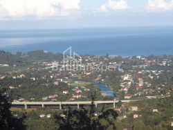 Dom prywatny 5000 m² - Mezgwarta, Chakvi, Gruzja