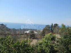 Dom prywatny 4000 m² - Dawid Agmaszenebeli, Kobuleti, Gruzja