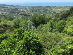 Dom prywatny 2255 m² - Agmaszenebeli, Chakvi, Gruzja