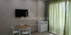 Mieszkanie 33 m² - Szałwa Inasaridze, Batumi, Gruzja
