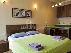 Mieszkanie 29 m² - Zuraba Gorgiladze, Batumi, Gruzja