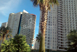 Mieszkanie 29 m² - Zuraba Gorgiladze, Batumi, Gruzja