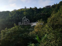 Dom prywatny 2501 m² - Akaki Shainidze, Khelvachauri, Gruzja