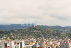 Mieszkanie 52.5 m² - Ekvtime Takaishvili, Batumi, Gruzja