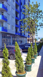 Mieszkanie 30 m² - Szeryf Chimsziaszwili, Batumi, Gruzja